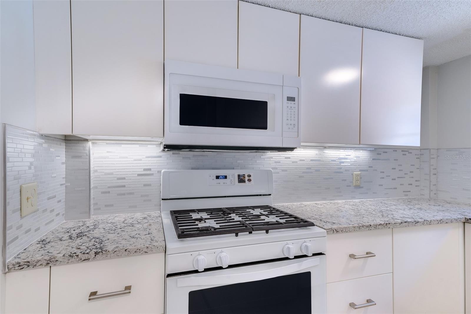 3315 W EMPEDRADO ST, TAMPA, FL, 33629