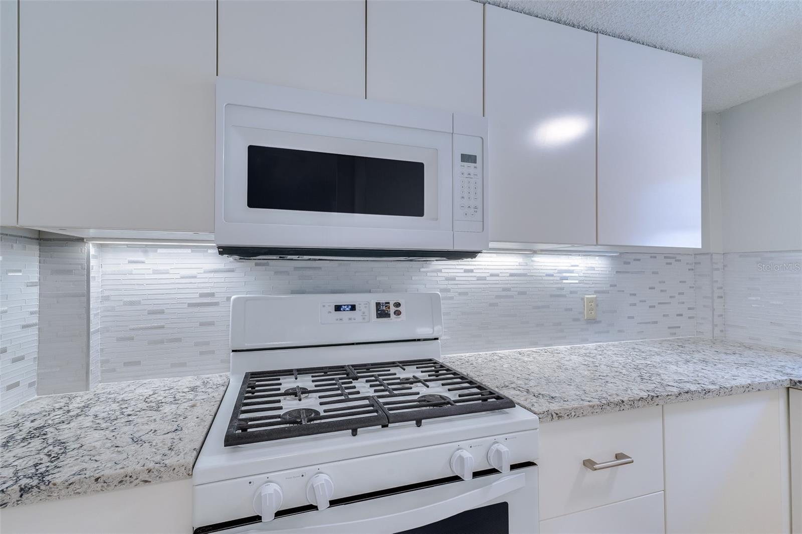 3315 W EMPEDRADO ST, TAMPA, FL, 33629