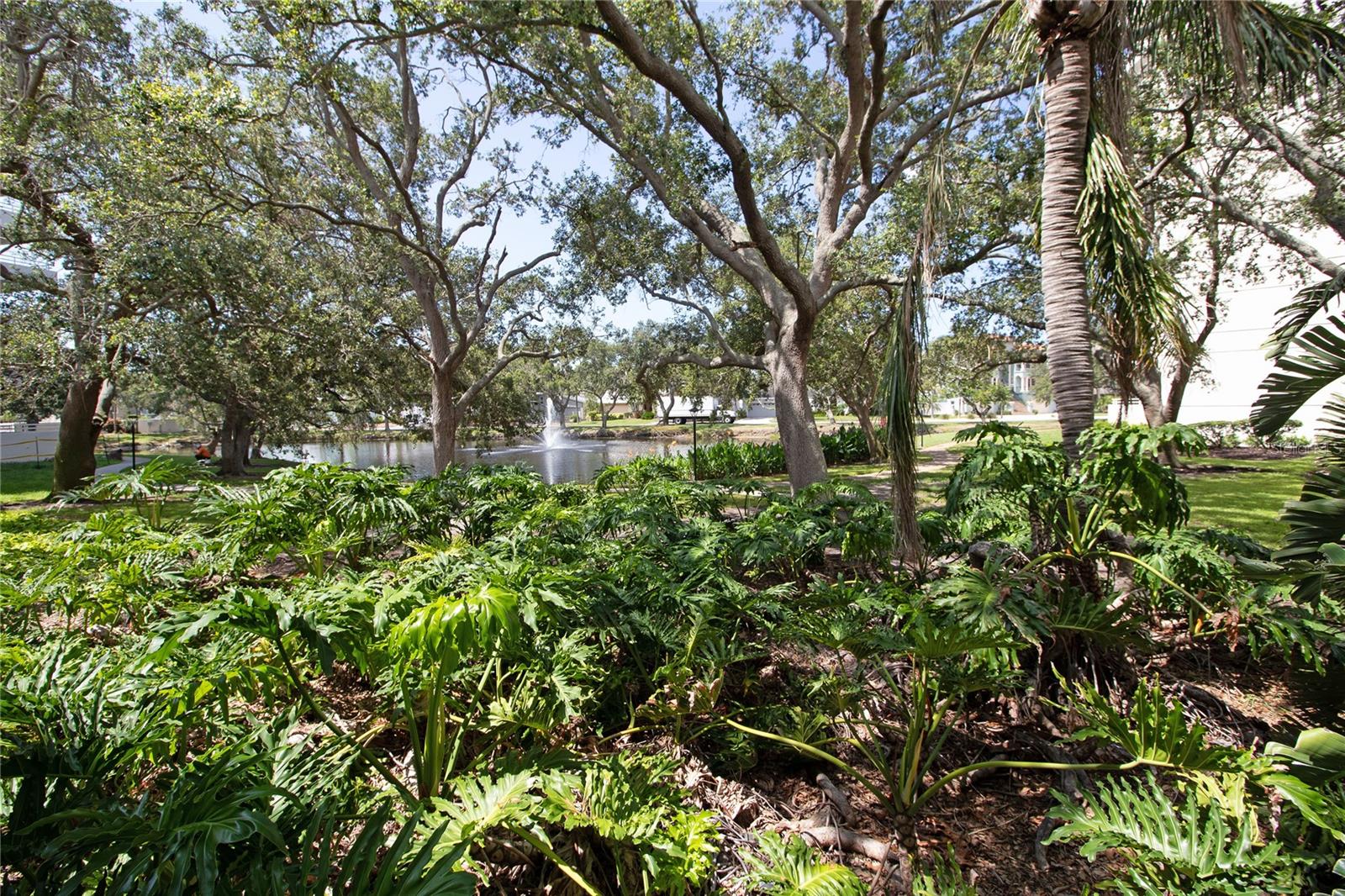 5950 PELICAN BAY PLZ S #1004, GULFPORT, FL, 33707