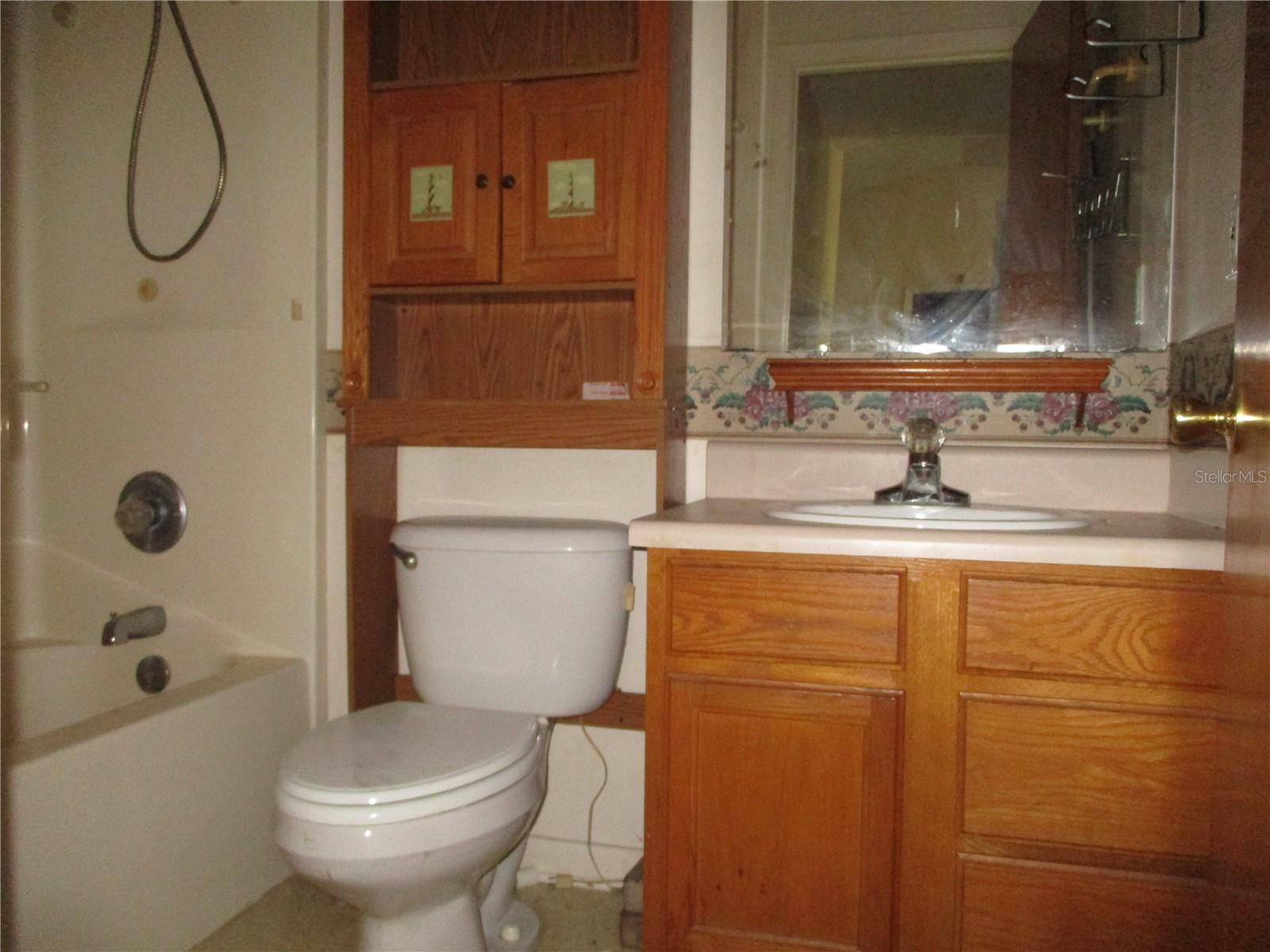 12168 CEDAR DR, BROOKER, FL, 32622