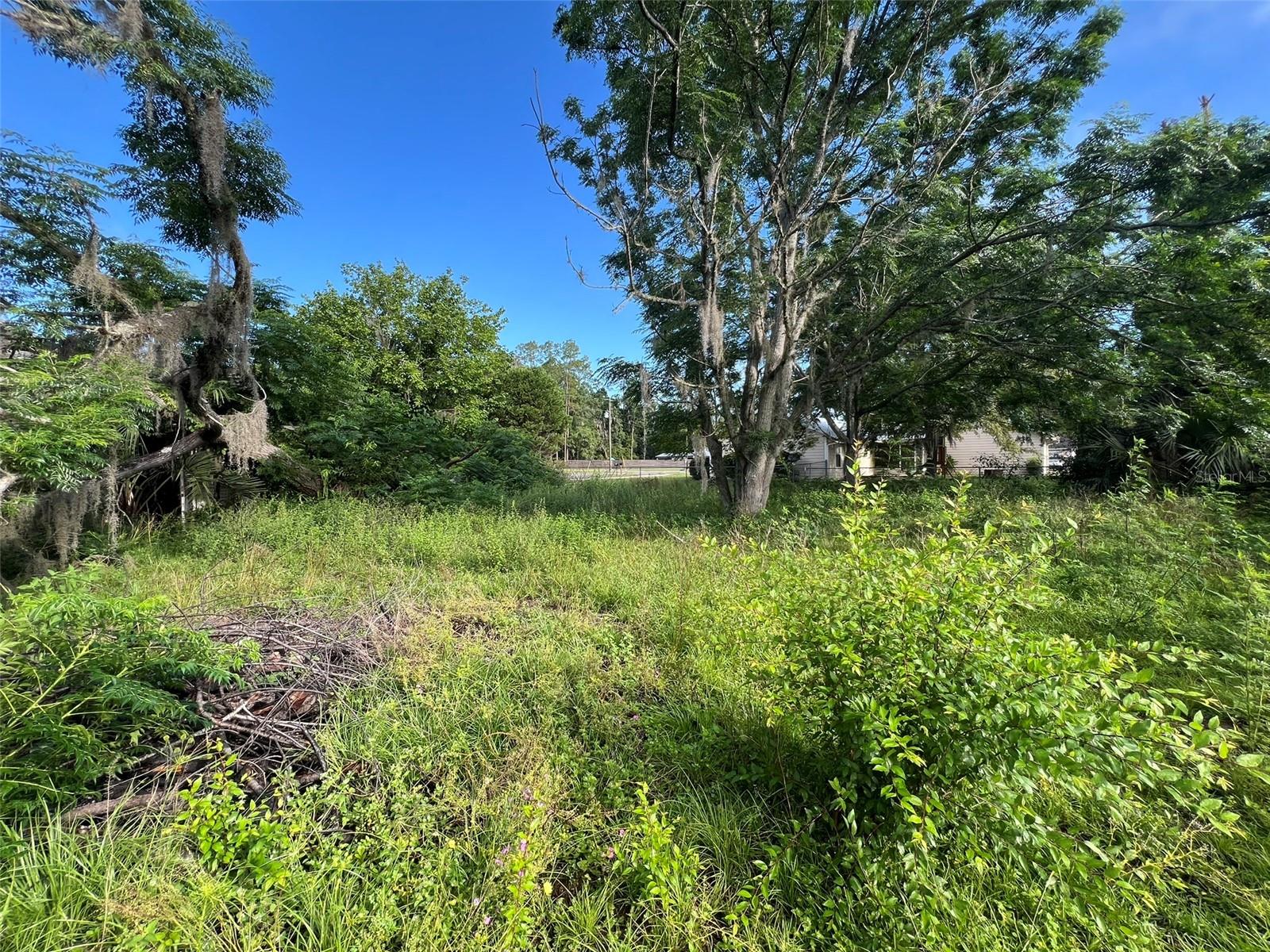 12168 CEDAR DR, BROOKER, FL, 32622
