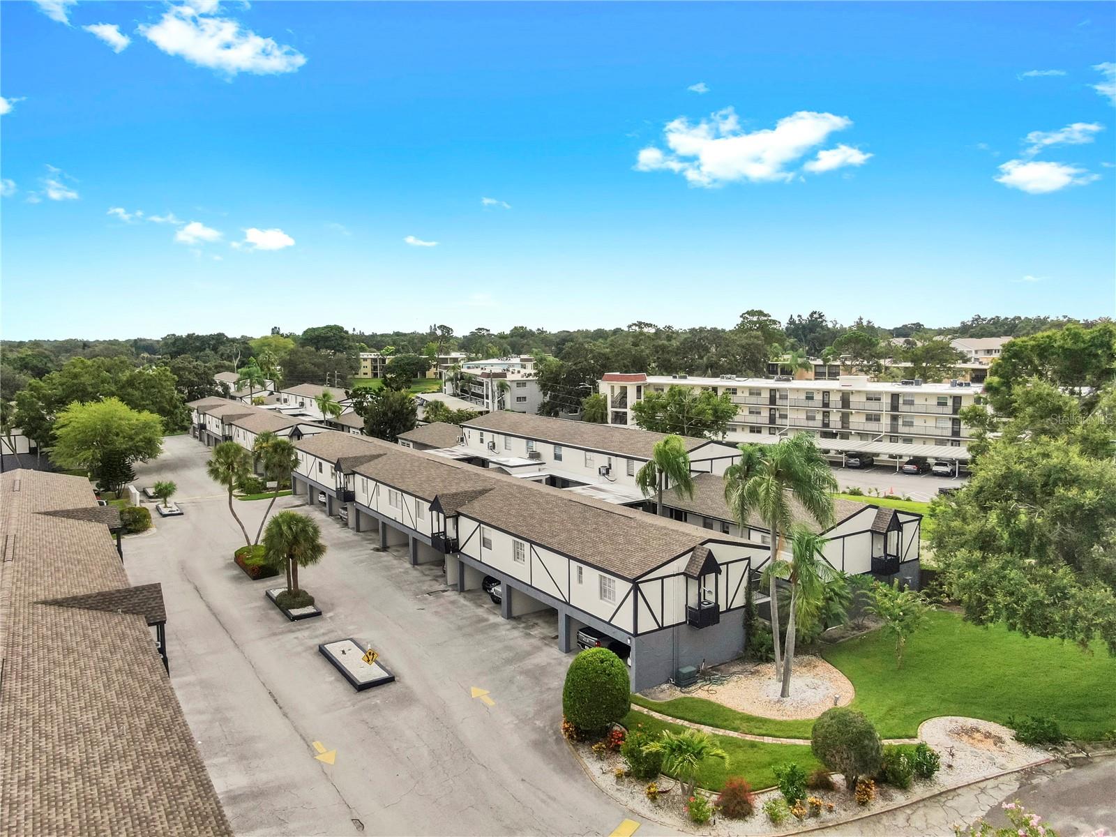 1146 KING ARTHUR CT #114, DUNEDIN, FL, 34698