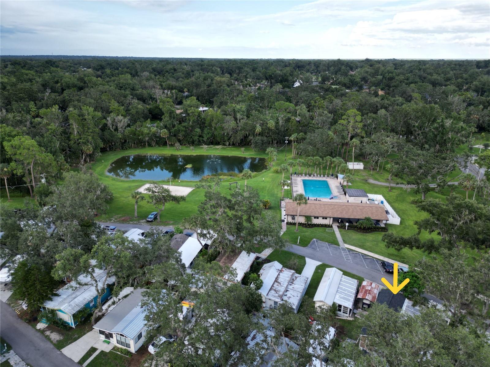 8383 NIGHT OWL DR., RIVERVIEW, FL, 33569