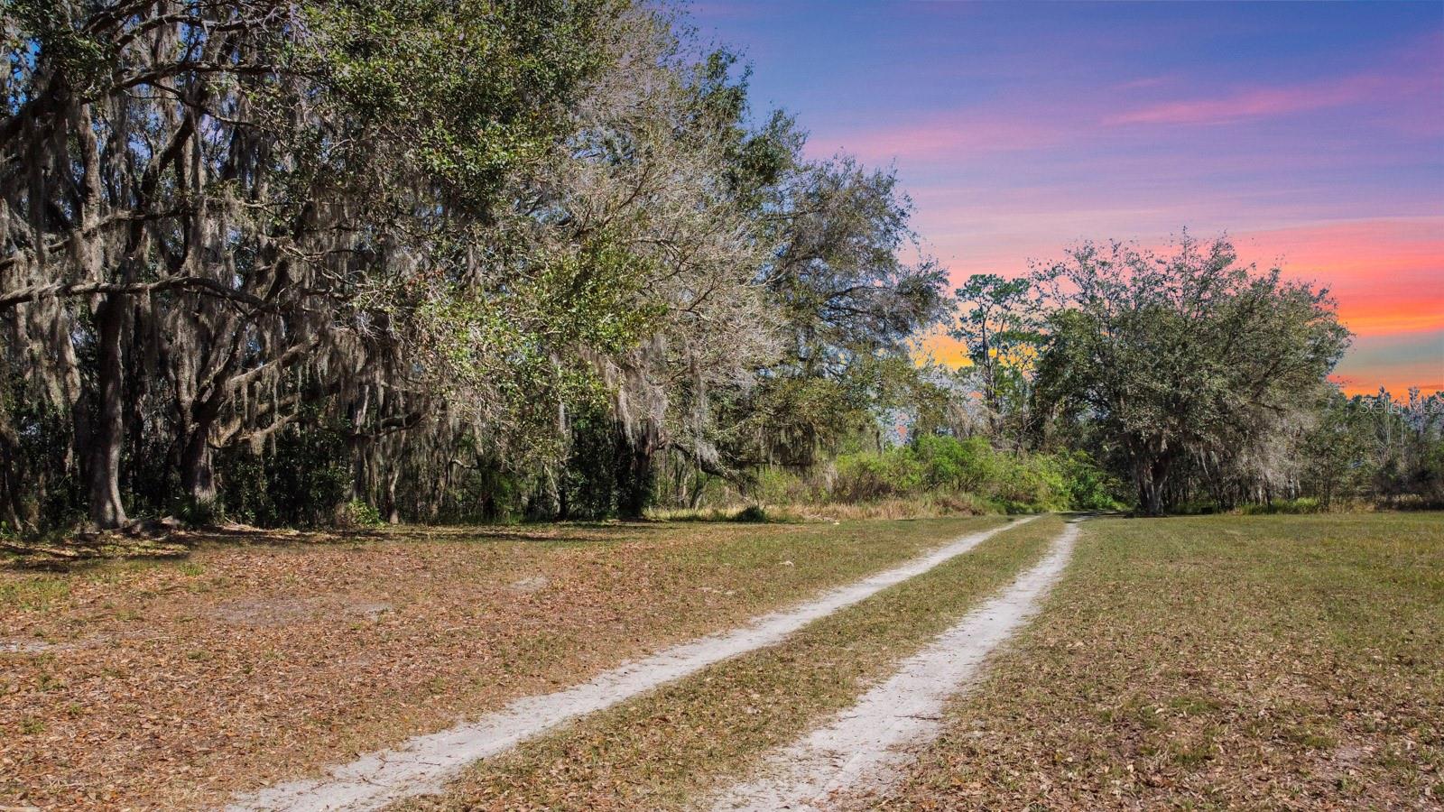 8122 PINE ISLAND RD, CLERMONT, FL, 34711