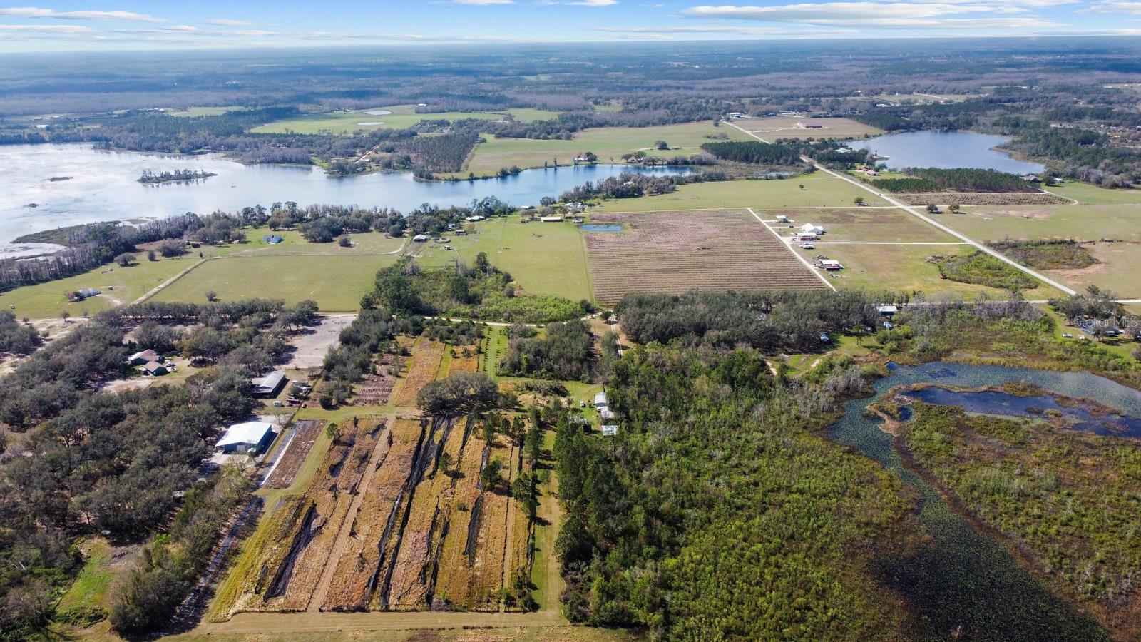 8122 PINE ISLAND RD, CLERMONT, FL, 34711