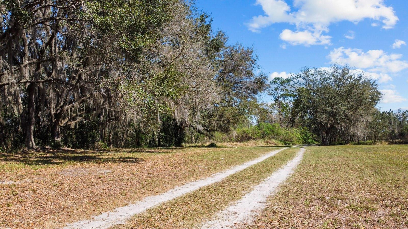 8122 PINE ISLAND RD, CLERMONT, FL, 34711