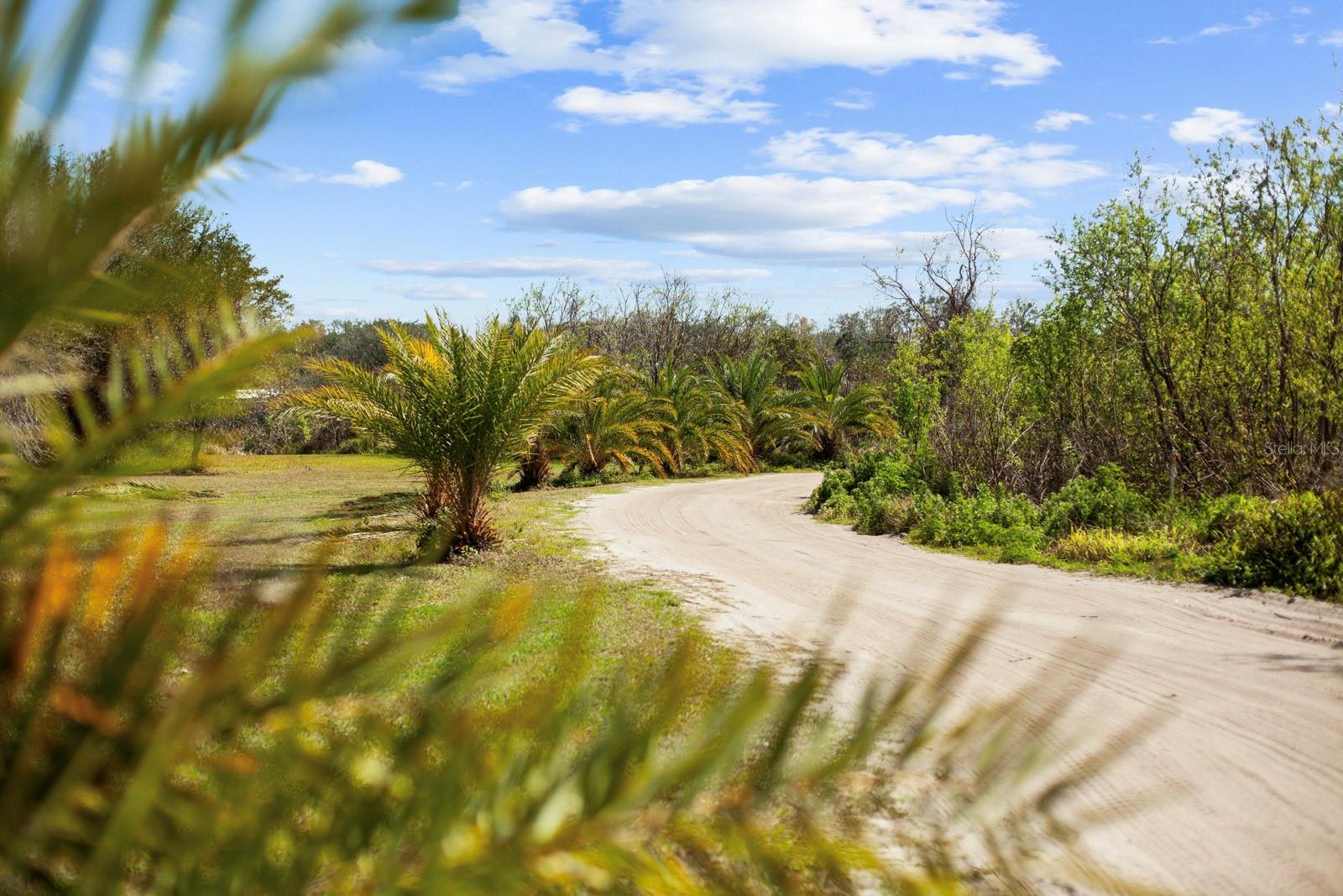 8122 PINE ISLAND RD, CLERMONT, FL, 34711