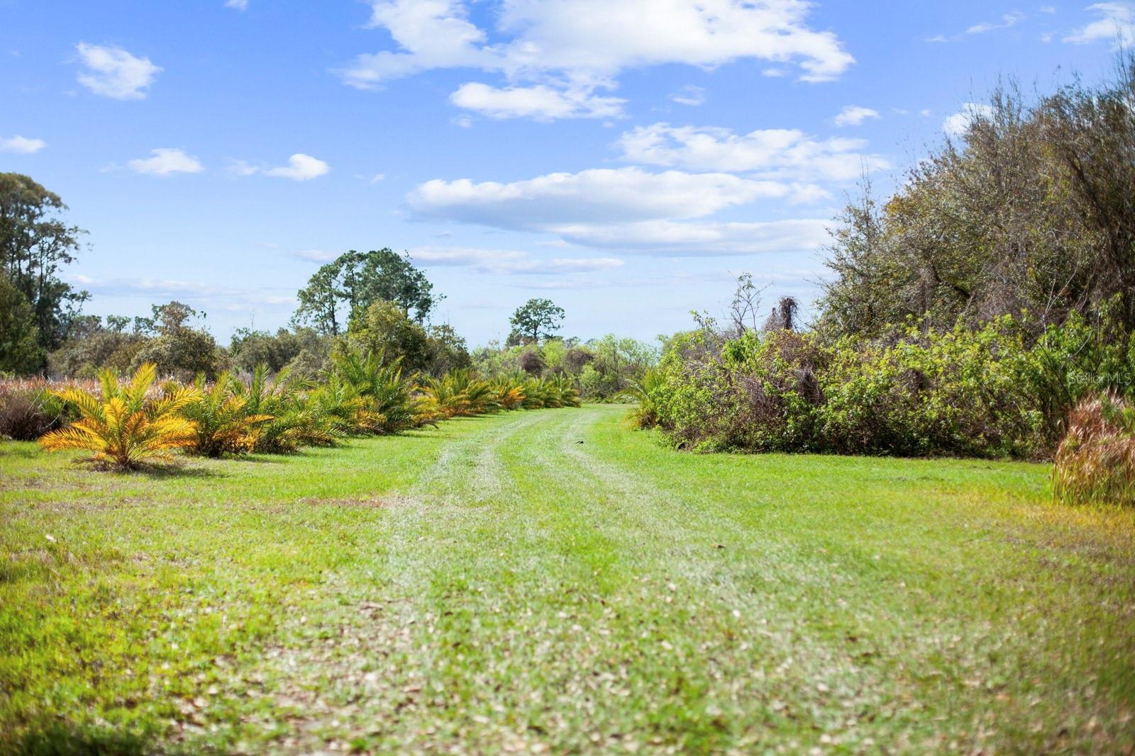 8122 PINE ISLAND RD, CLERMONT, FL, 34711