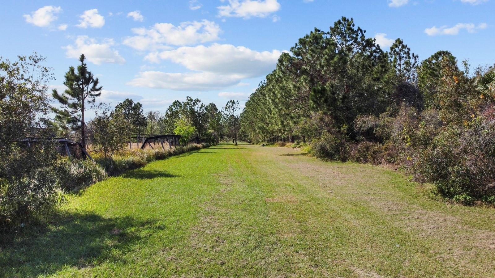 8122 PINE ISLAND RD, CLERMONT, FL, 34711