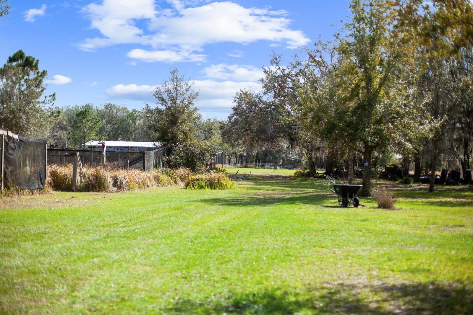 8122 PINE ISLAND RD, CLERMONT, FL, 34711