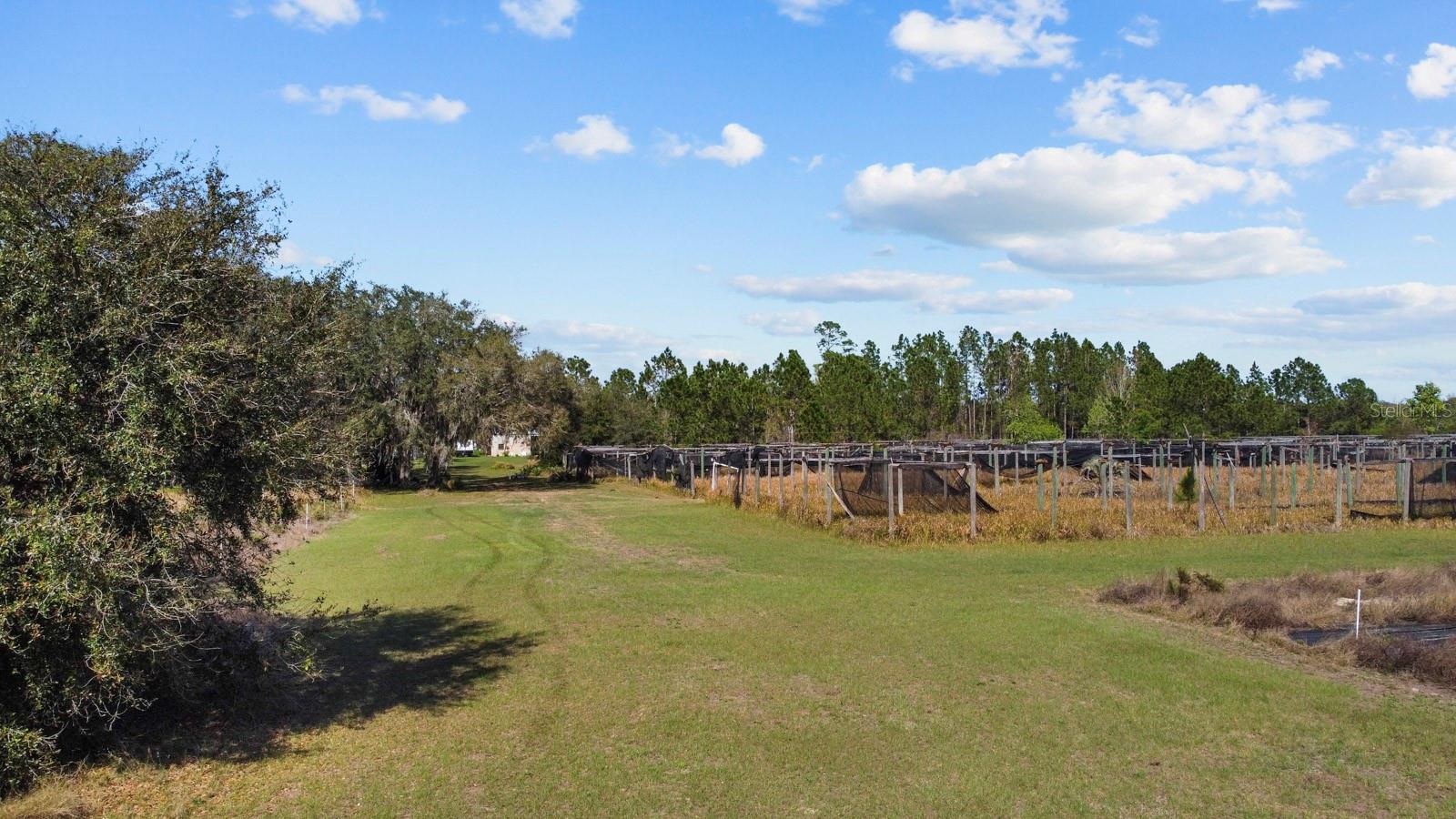 8122 PINE ISLAND RD, CLERMONT, FL, 34711