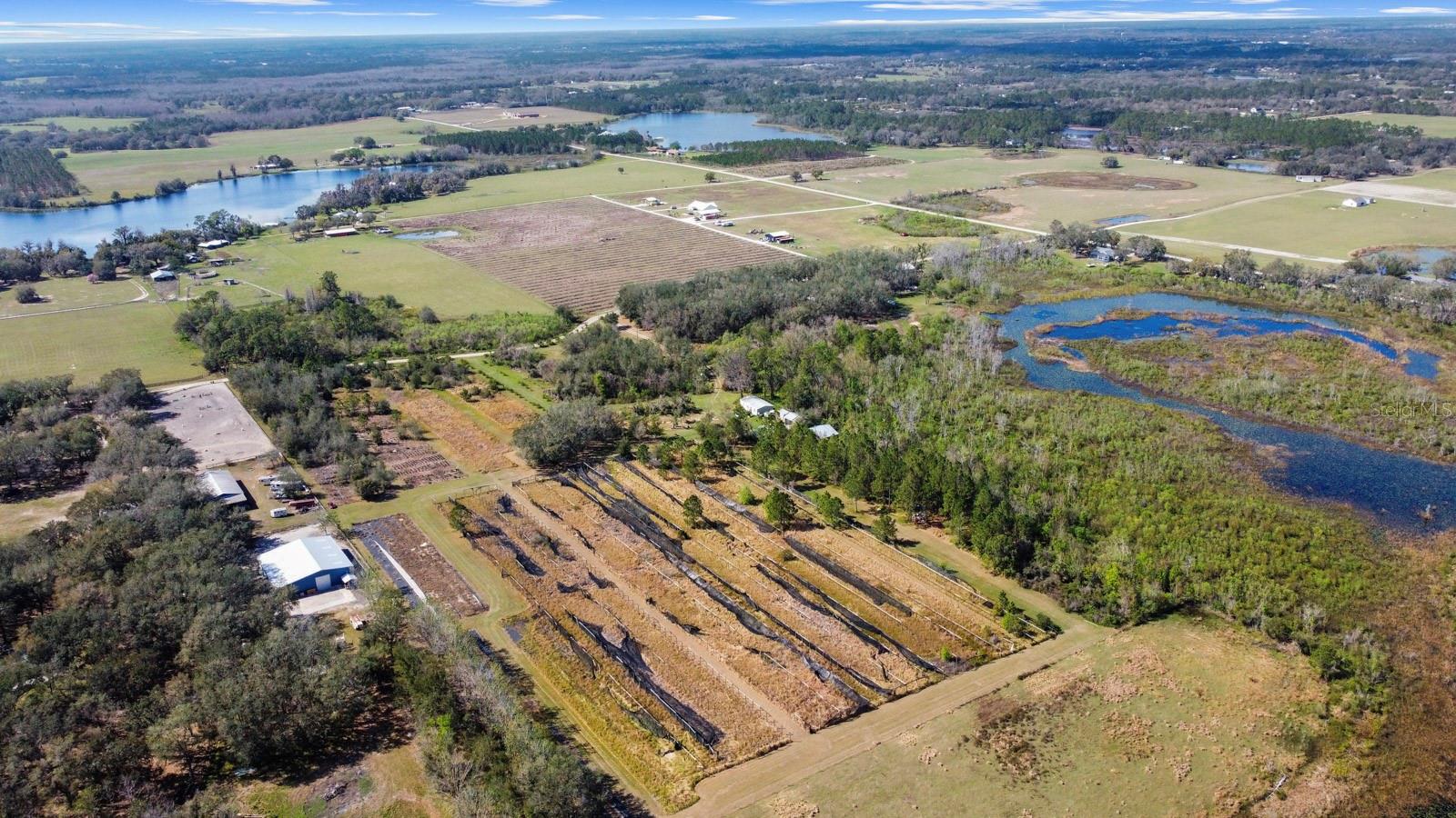 8122 PINE ISLAND RD, CLERMONT, FL, 34711