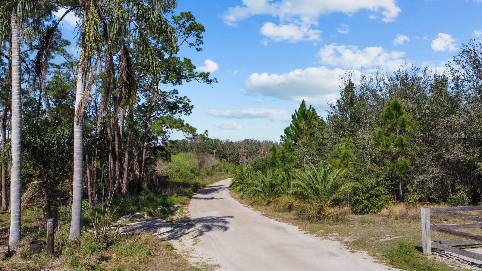 8122 PINE ISLAND RD, CLERMONT, FL, 34711