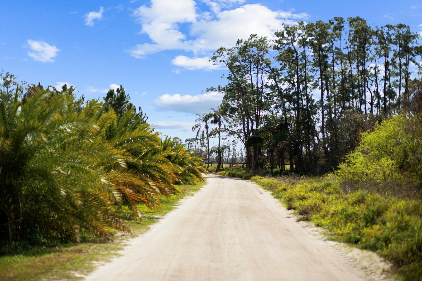 8122 PINE ISLAND RD, CLERMONT, FL, 34711