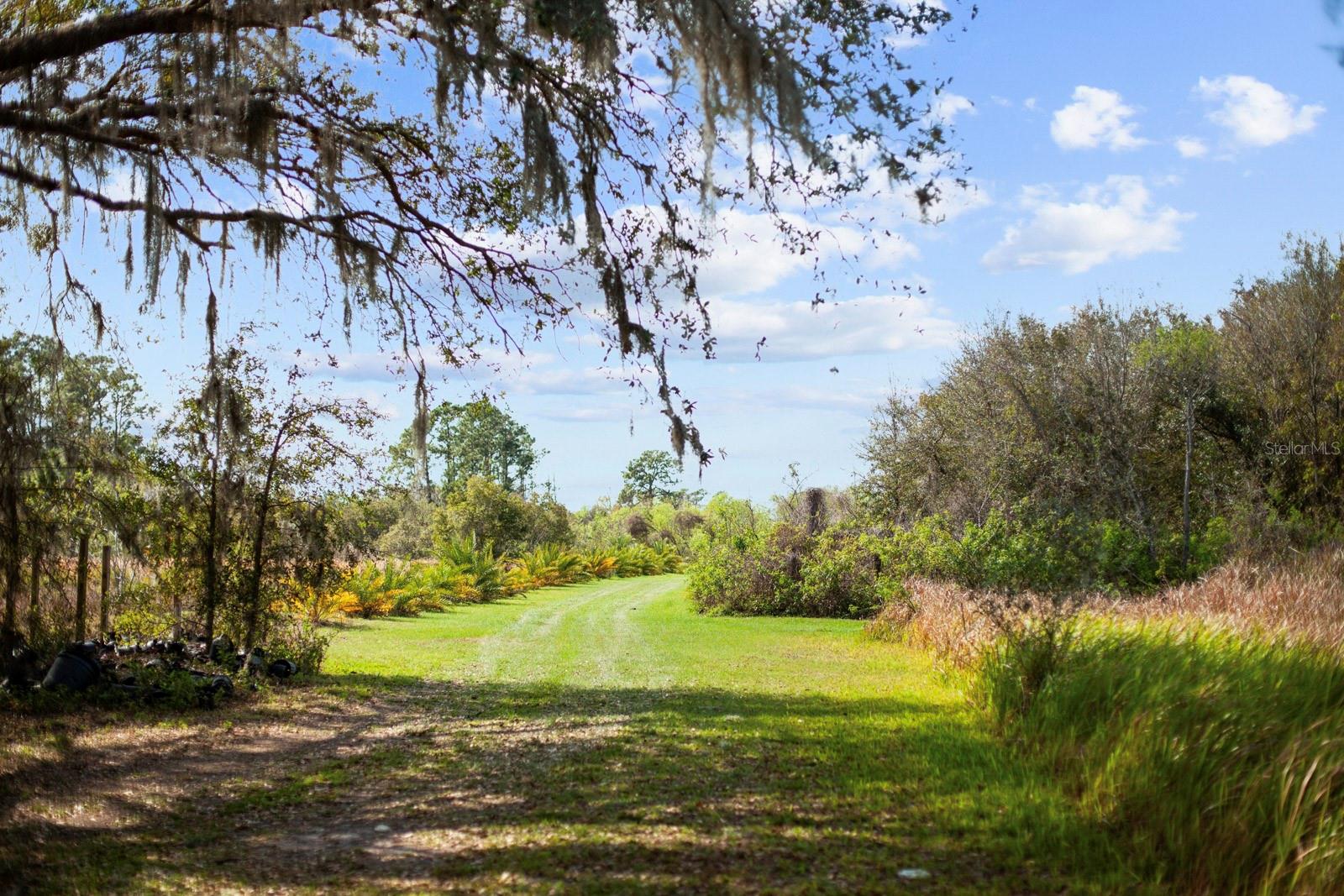 8122 PINE ISLAND RD, CLERMONT, FL, 34711