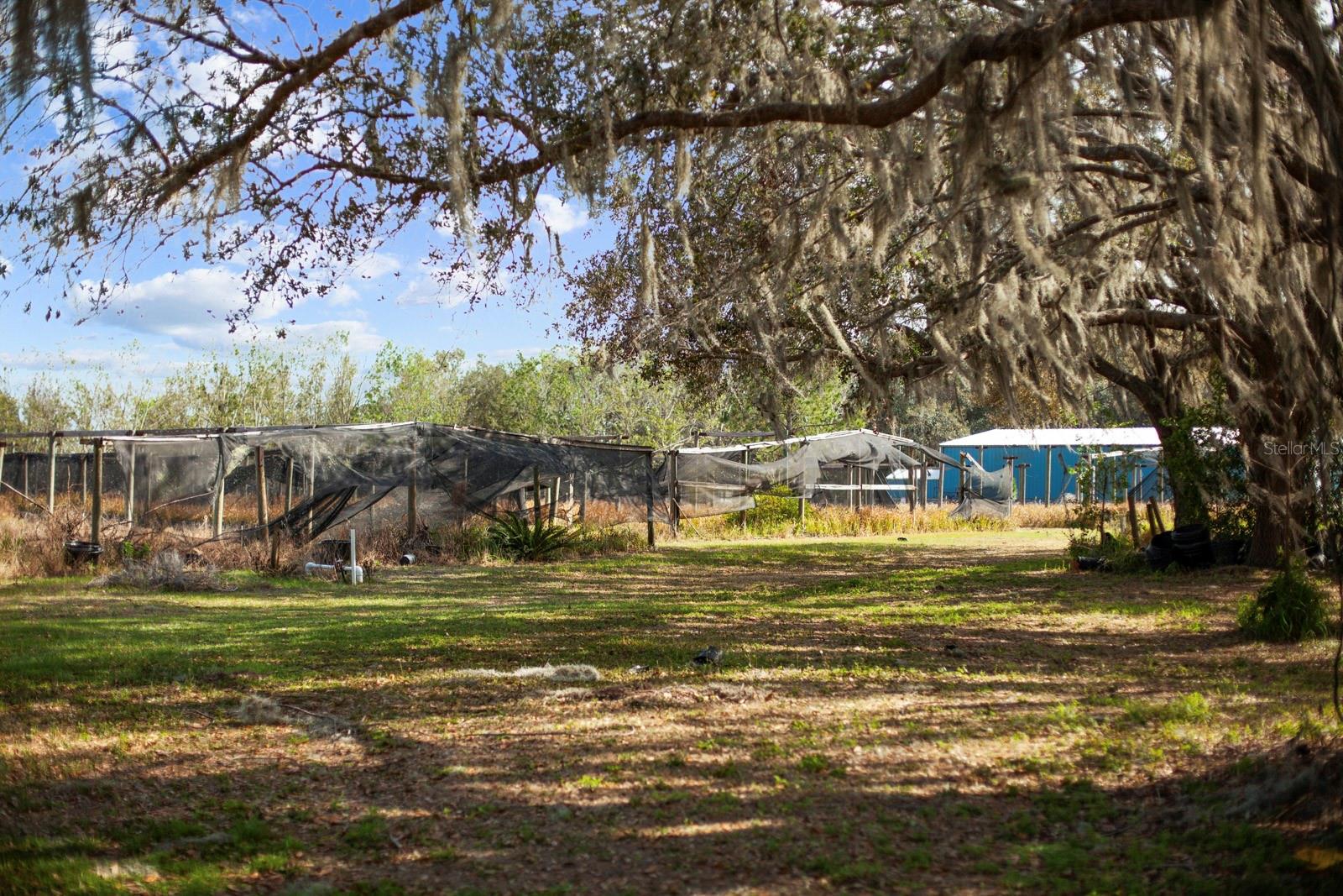 8122 PINE ISLAND RD, CLERMONT, FL, 34711