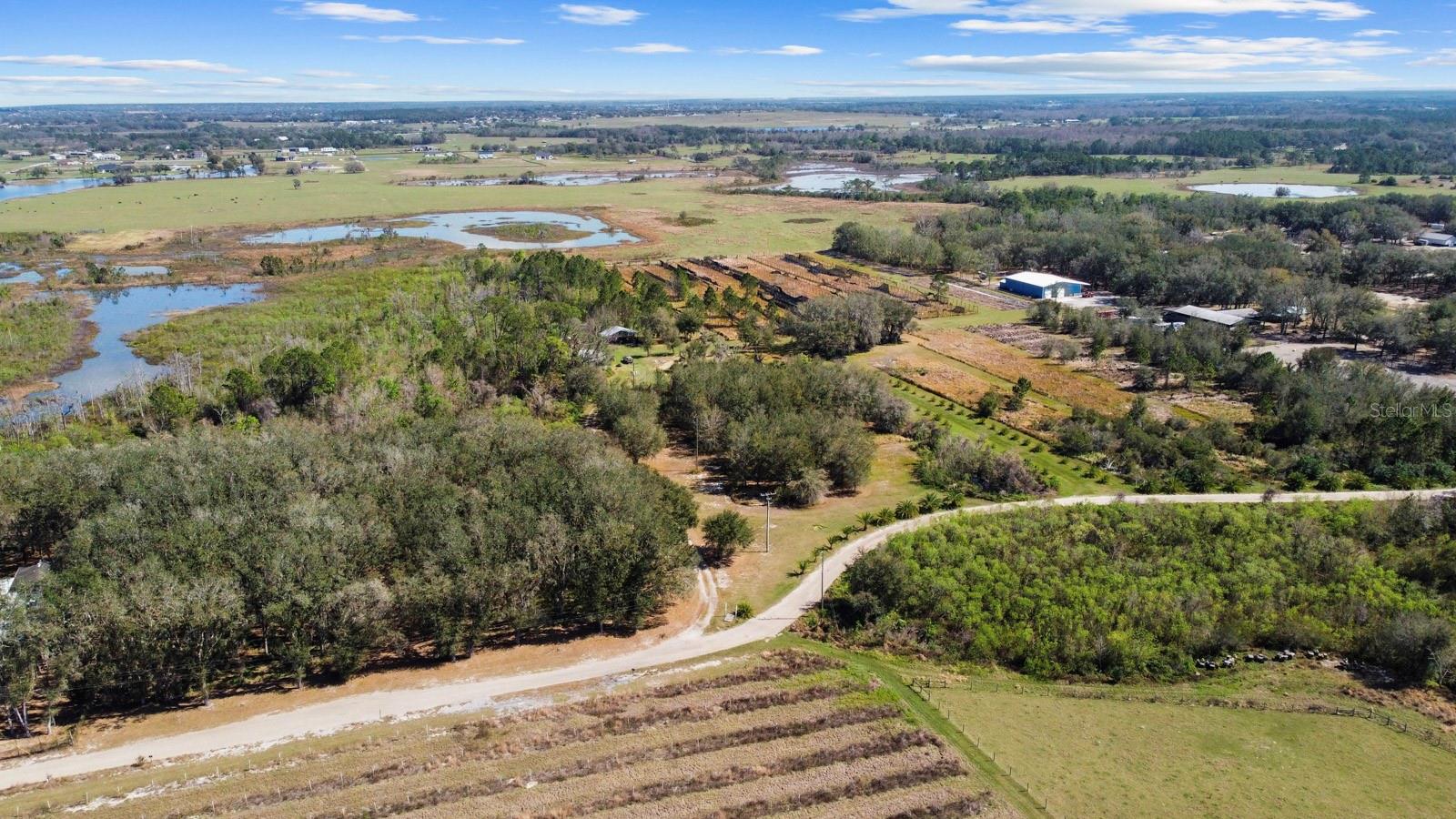 8122 PINE ISLAND RD, CLERMONT, FL, 34711