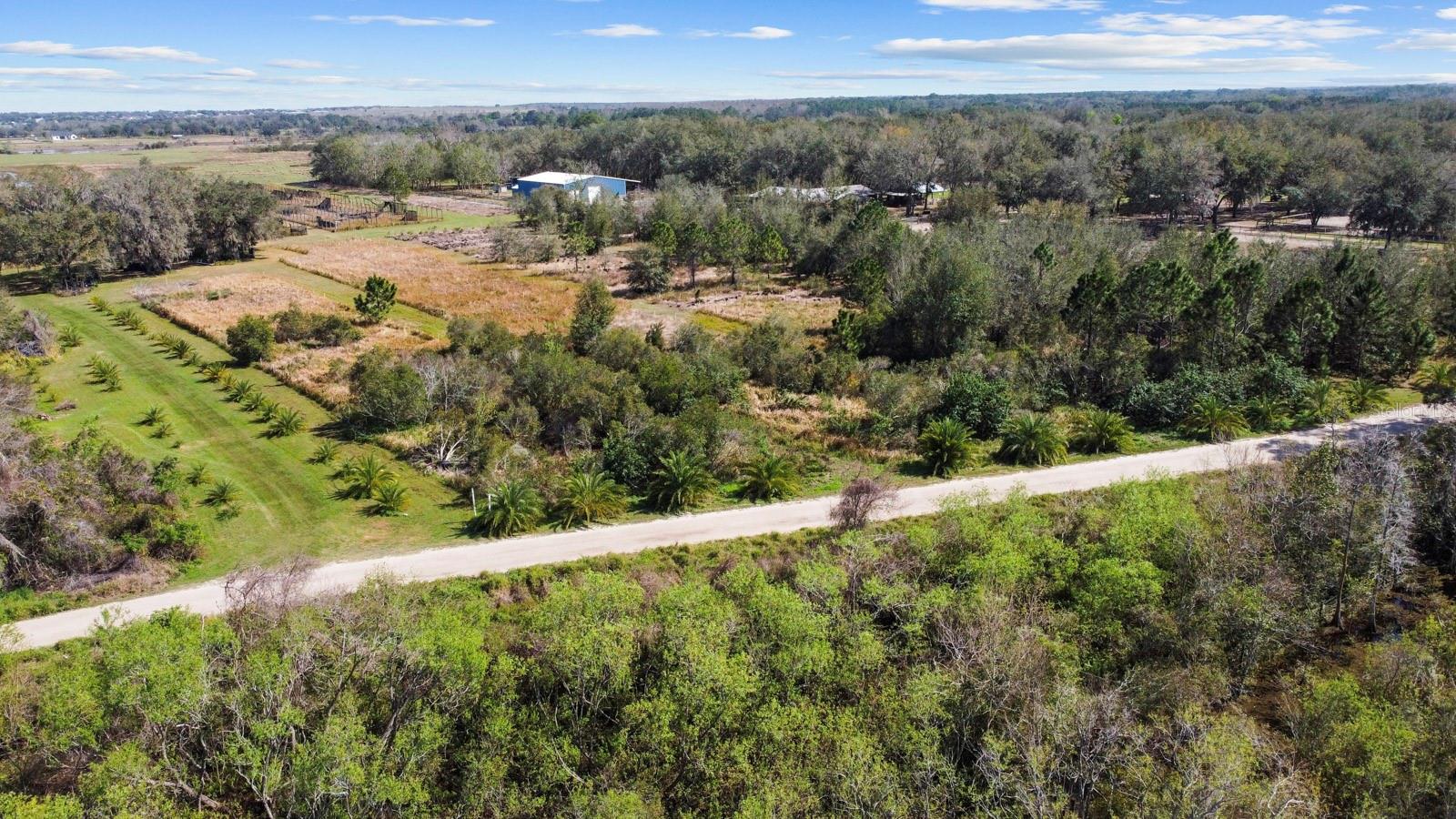 8122 PINE ISLAND RD, CLERMONT, FL, 34711