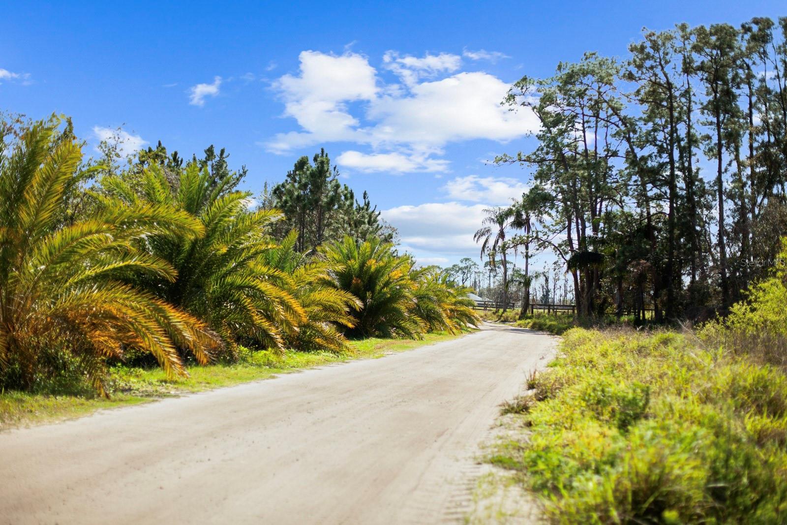 8122 PINE ISLAND RD, CLERMONT, FL, 34711