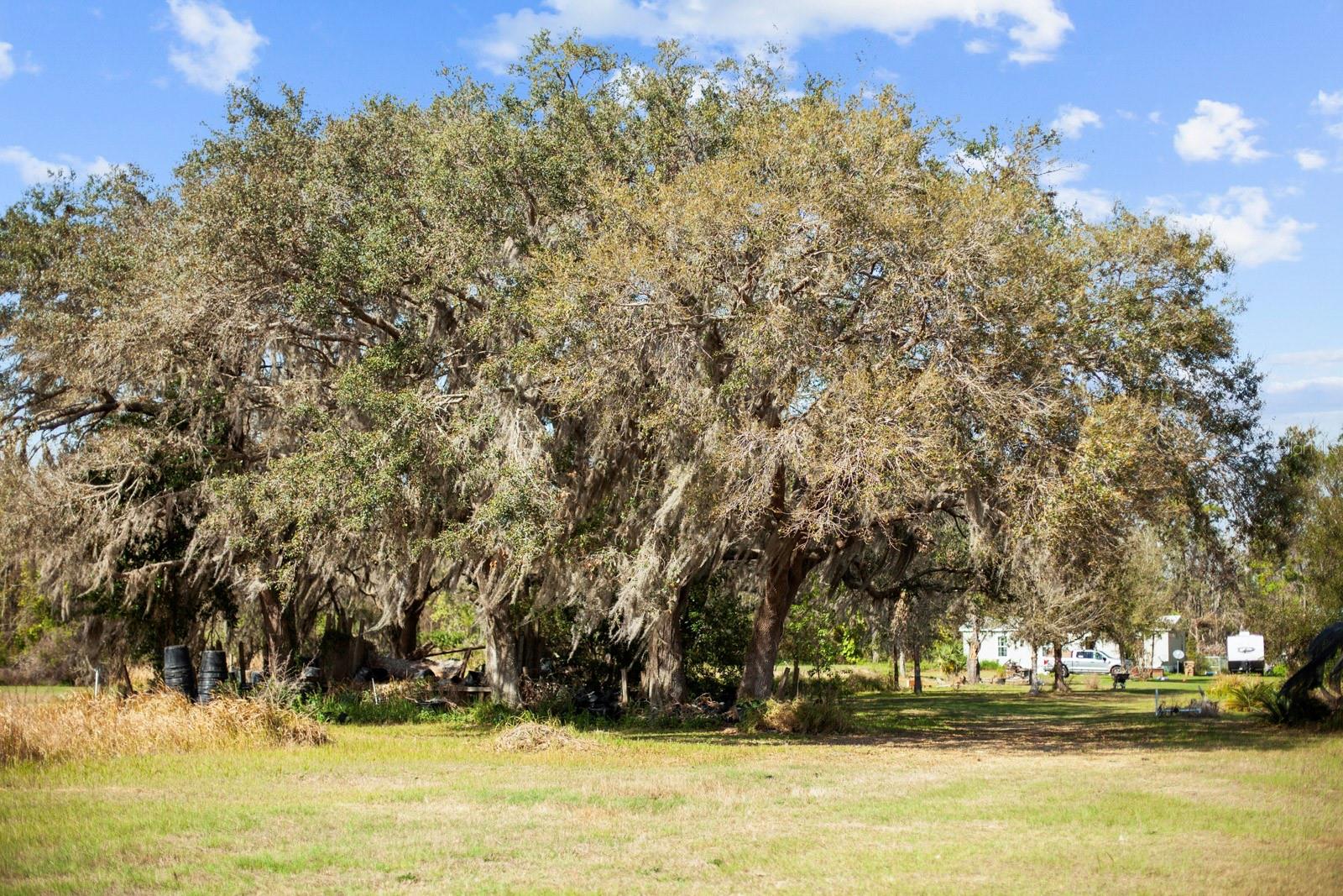 8122 PINE ISLAND RD, CLERMONT, FL, 34711