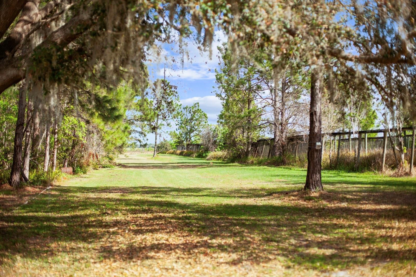 8122 PINE ISLAND RD, CLERMONT, FL, 34711