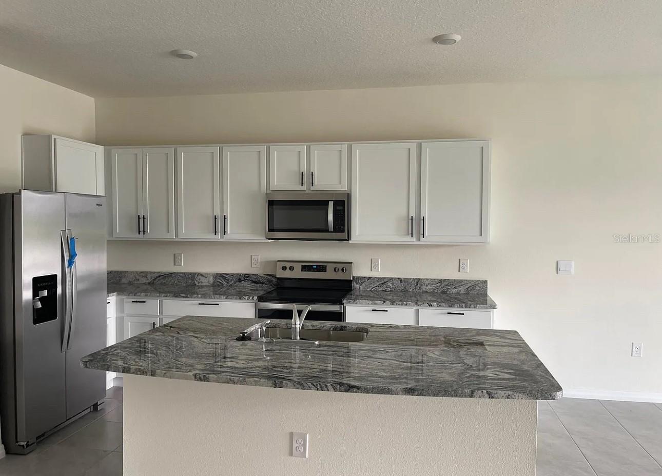 32228 TURTLE GRACE LOOP, WESLEY CHAPEL, FL, 33545