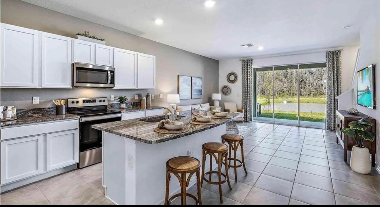 32228 TURTLE GRACE LOOP, WESLEY CHAPEL, FL, 33545