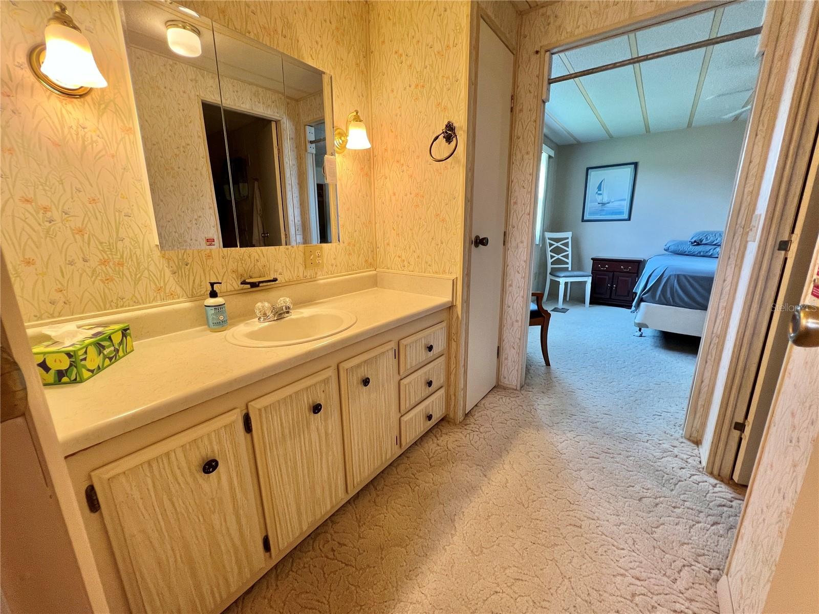 117 CHESTNUT ST, LEESBURG, FL, 34748