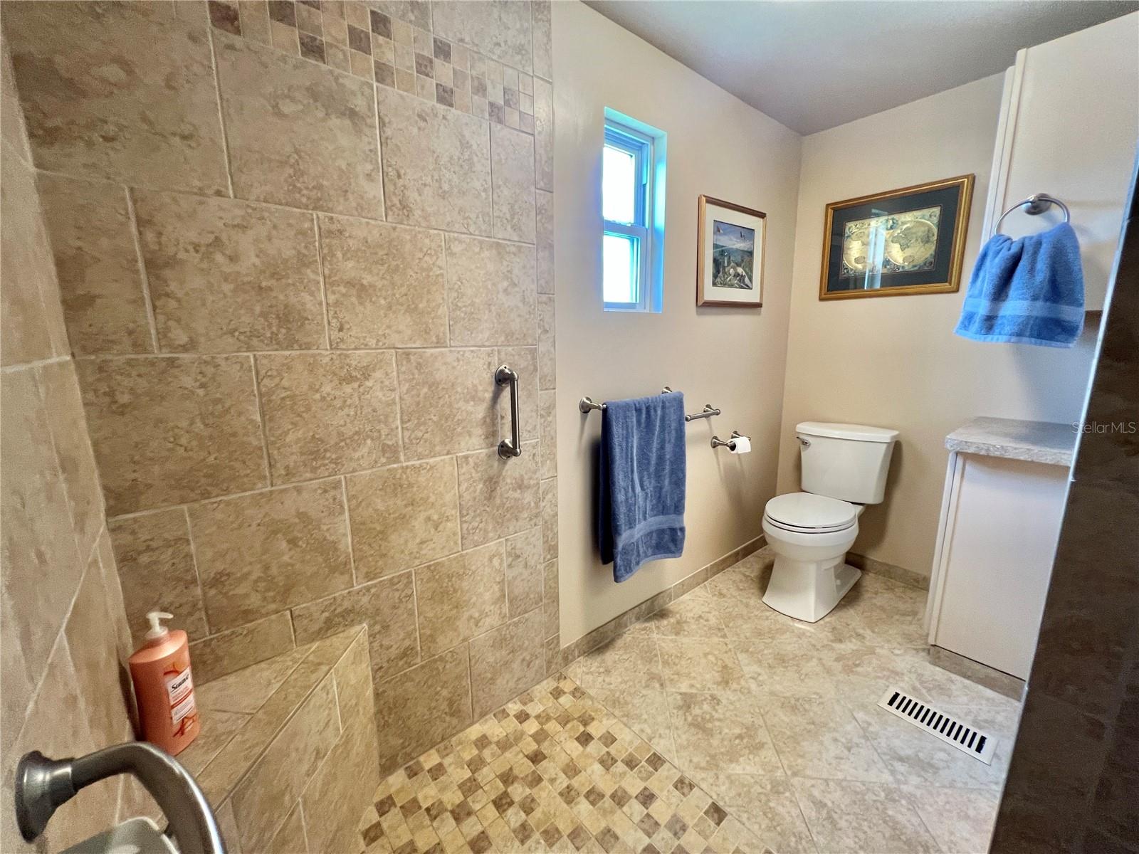 117 CHESTNUT ST, LEESBURG, FL, 34748