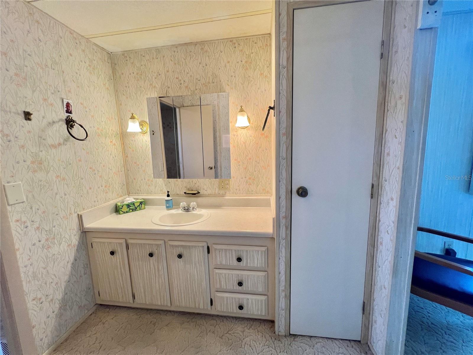 117 CHESTNUT ST, LEESBURG, FL, 34748