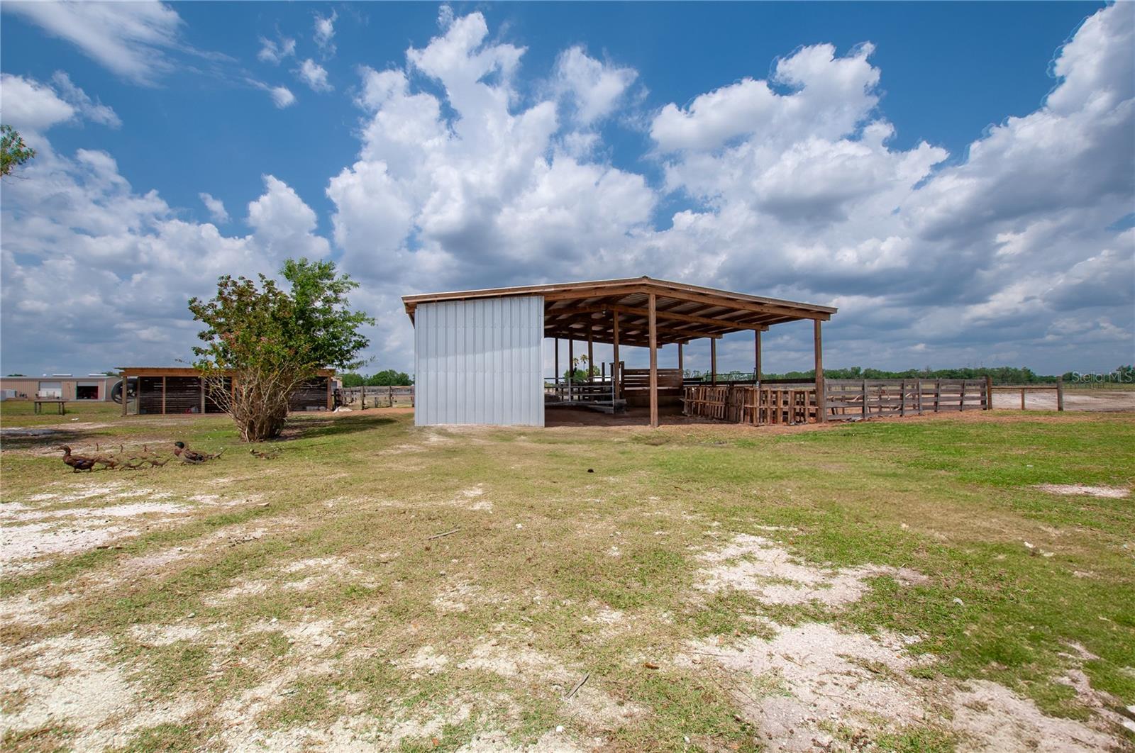 2288 NW BROWNVILLE ST, ARCADIA, FL, 34266