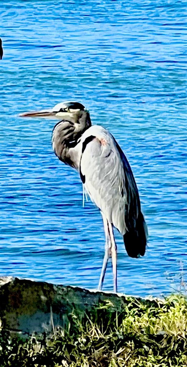 777 N GREEN CIR #152, VENICE, FL, 34285