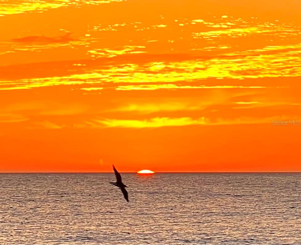 777 N GREEN CIR #152, VENICE, FL, 34285