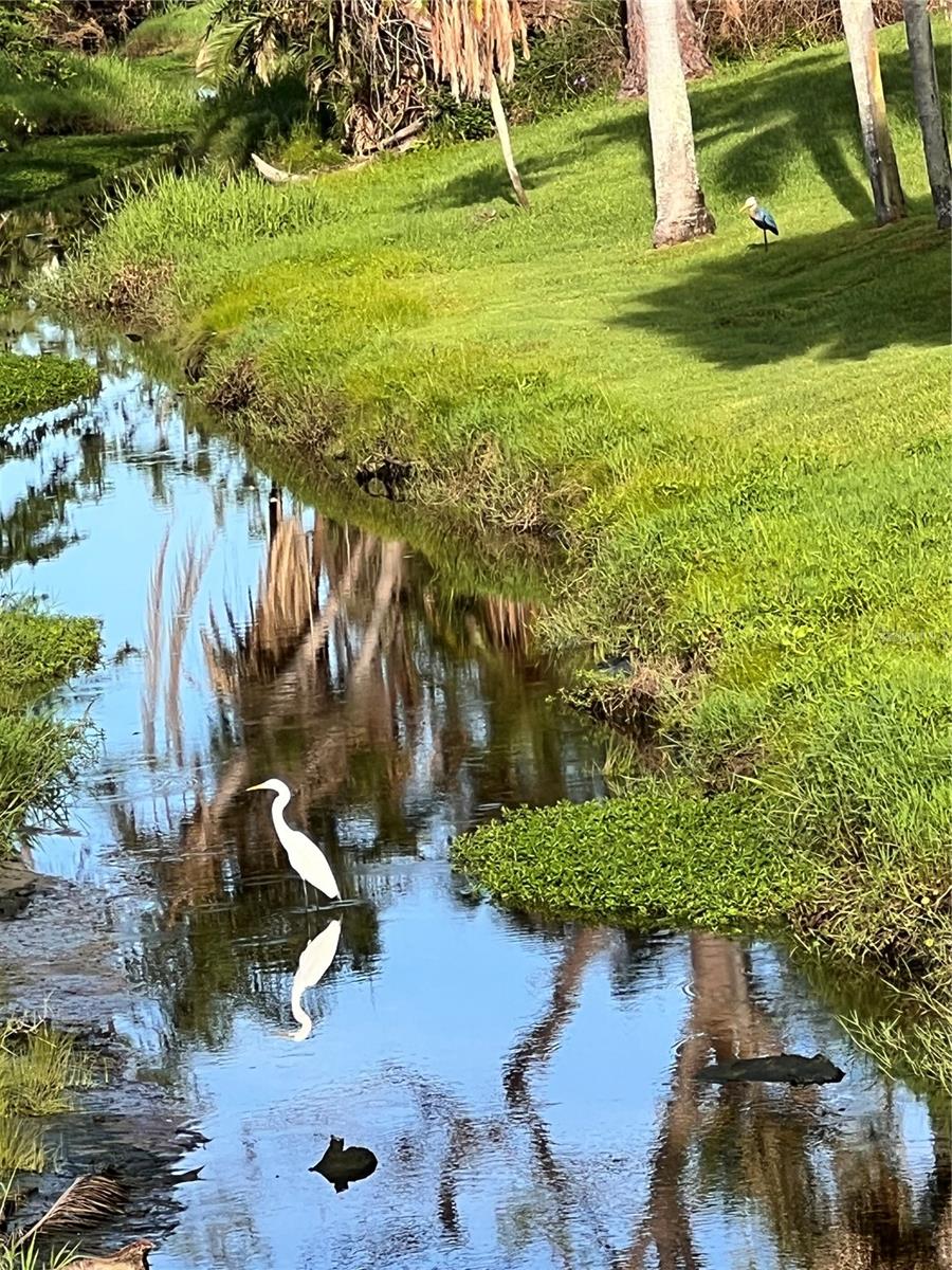 777 N GREEN CIR #152, VENICE, FL, 34285