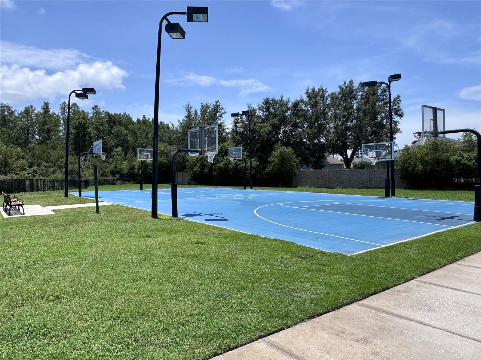 19820 LONESOME PINE DR, LAND O LAKES, FL, 34638