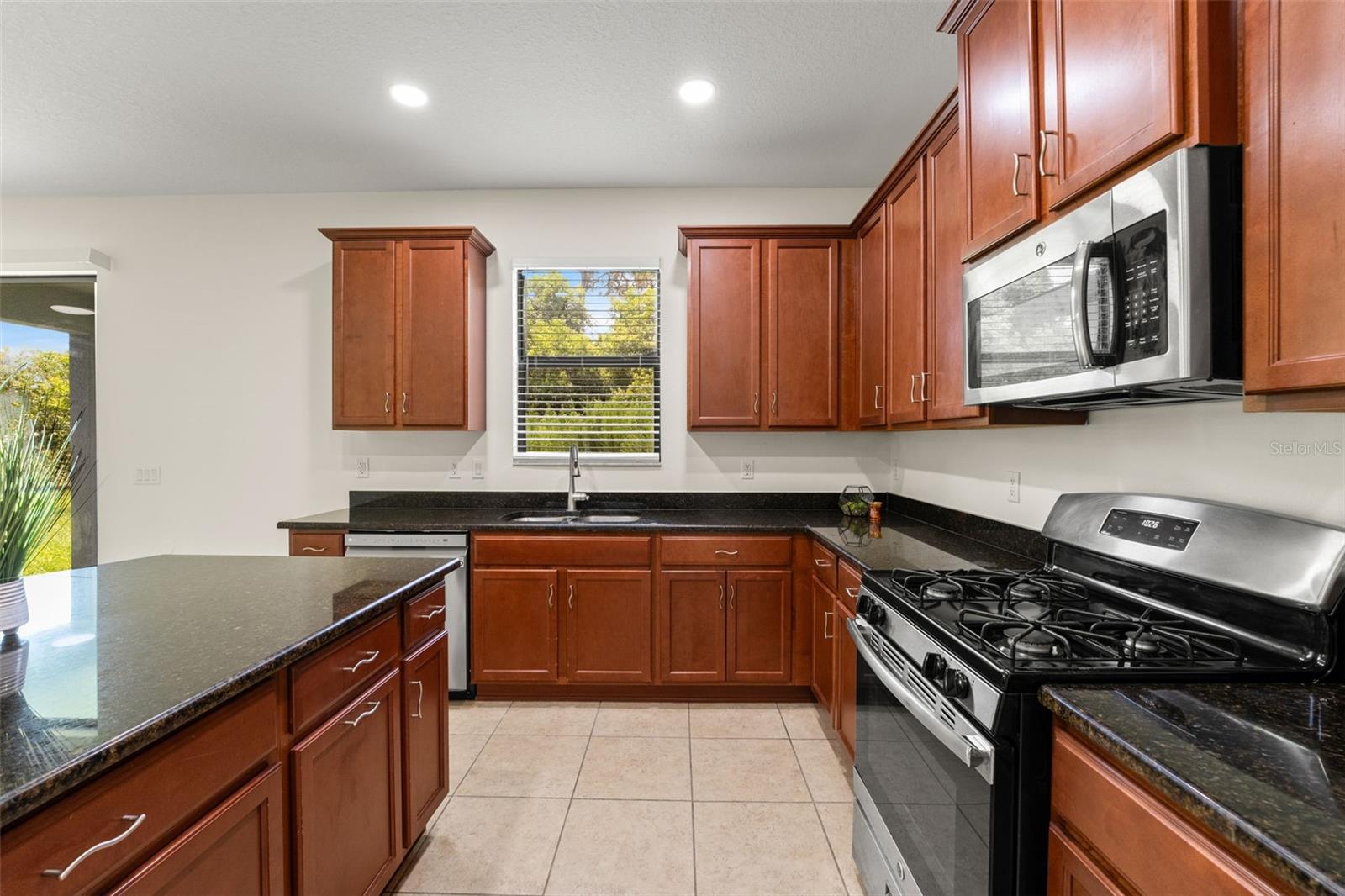 19820 LONESOME PINE DR, LAND O LAKES, FL, 34638