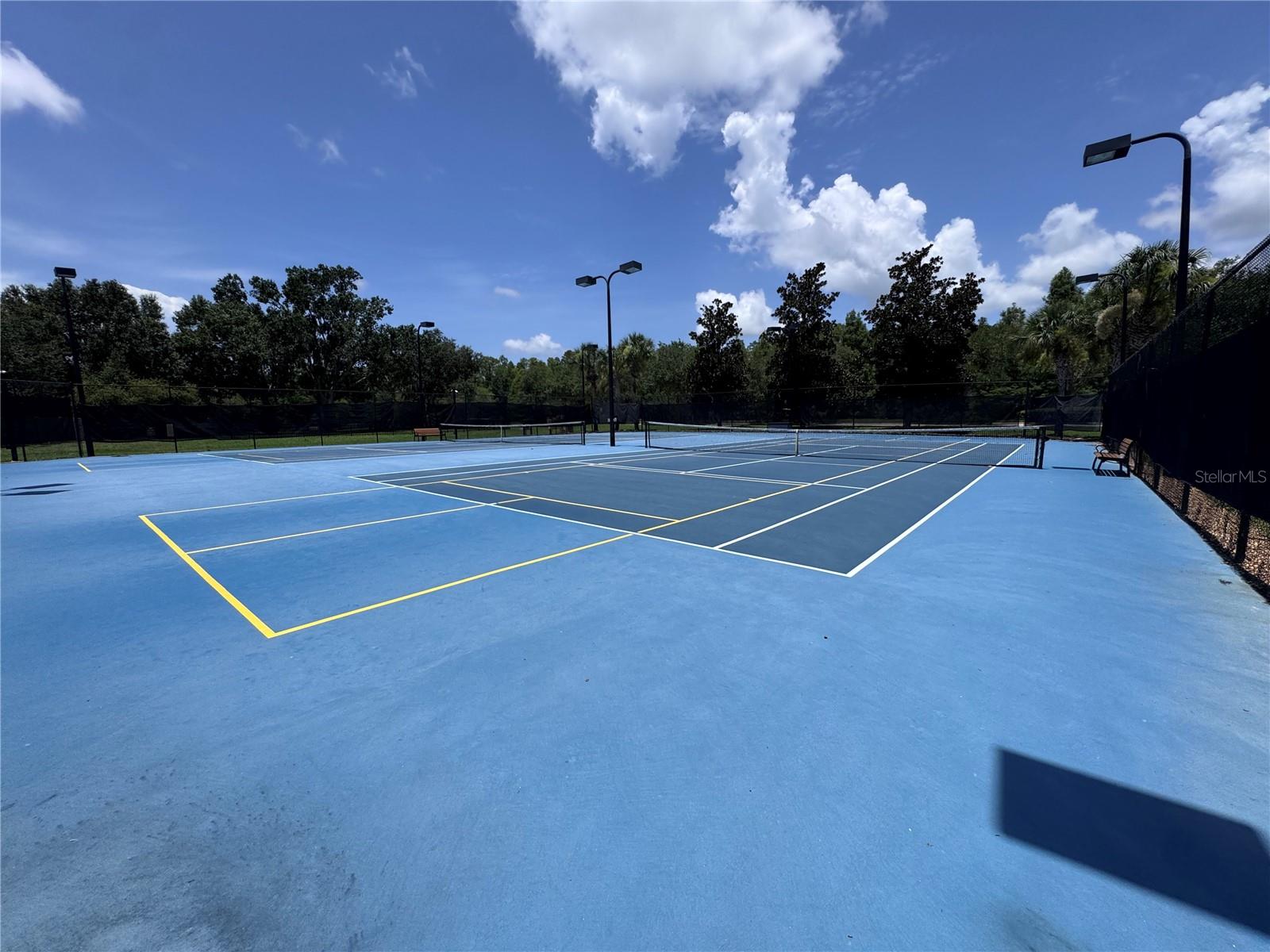 19820 LONESOME PINE DR, LAND O LAKES, FL, 34638