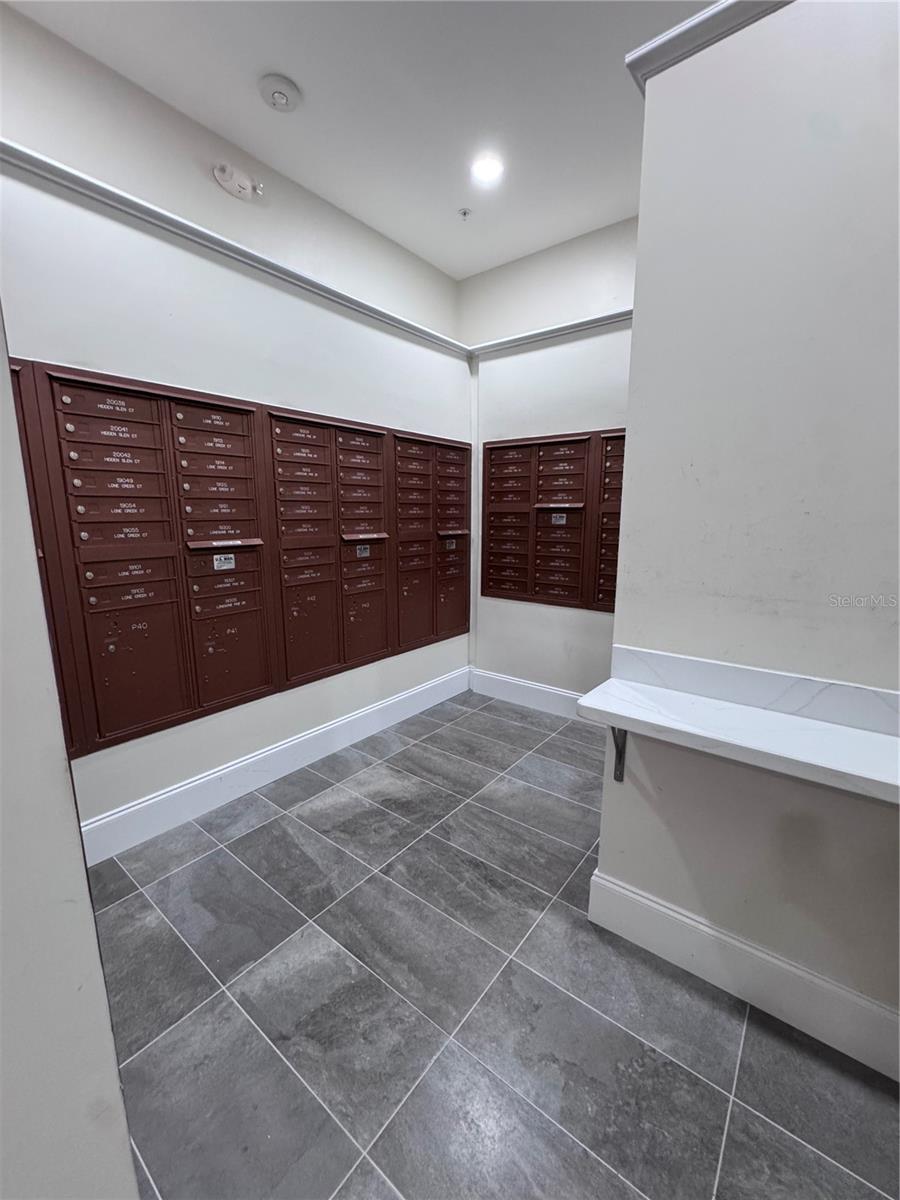 19820 LONESOME PINE DR, LAND O LAKES, FL, 34638