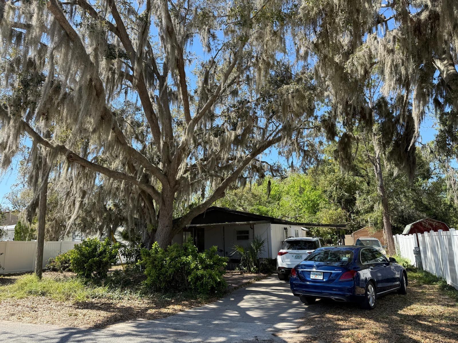 17011 BAY AVE, MONTVERDE, FL, 34756