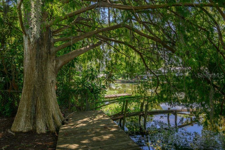 17324 PALM DR, MONTVERDE, FL, 34756