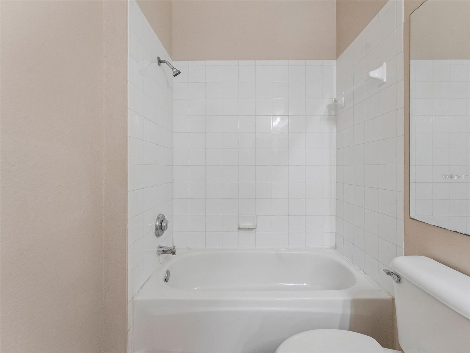 18107 PEREGRINES PERCH PL #6302, LUTZ, FL, 33558