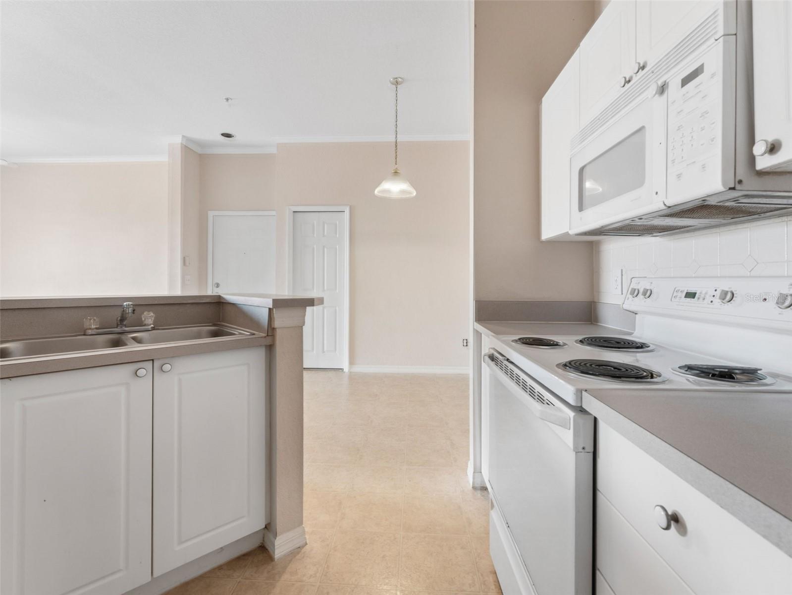 18107 PEREGRINES PERCH PL #6302, LUTZ, FL, 33558