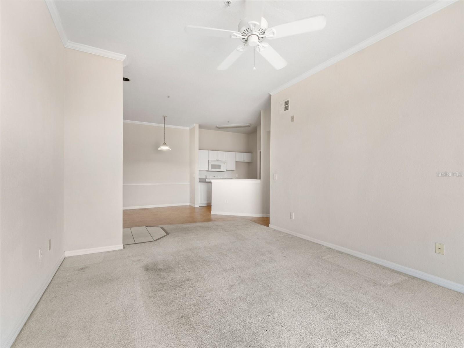 18107 PEREGRINES PERCH PL #6302, LUTZ, FL, 33558