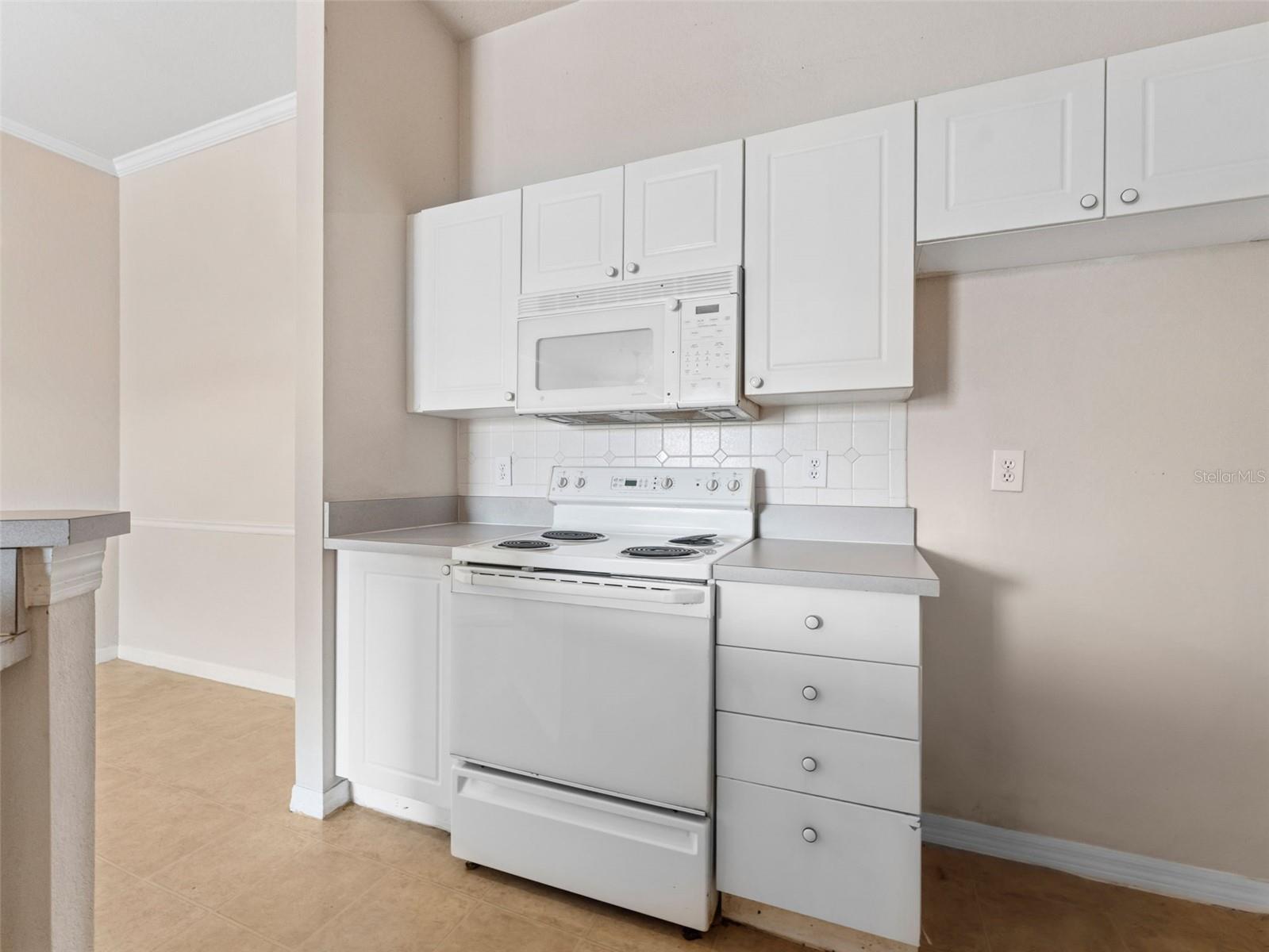 18107 PEREGRINES PERCH PL #6302, LUTZ, FL, 33558