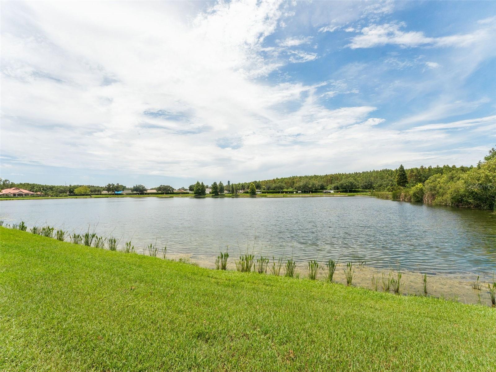 18107 PEREGRINES PERCH PL #6302, LUTZ, FL, 33558