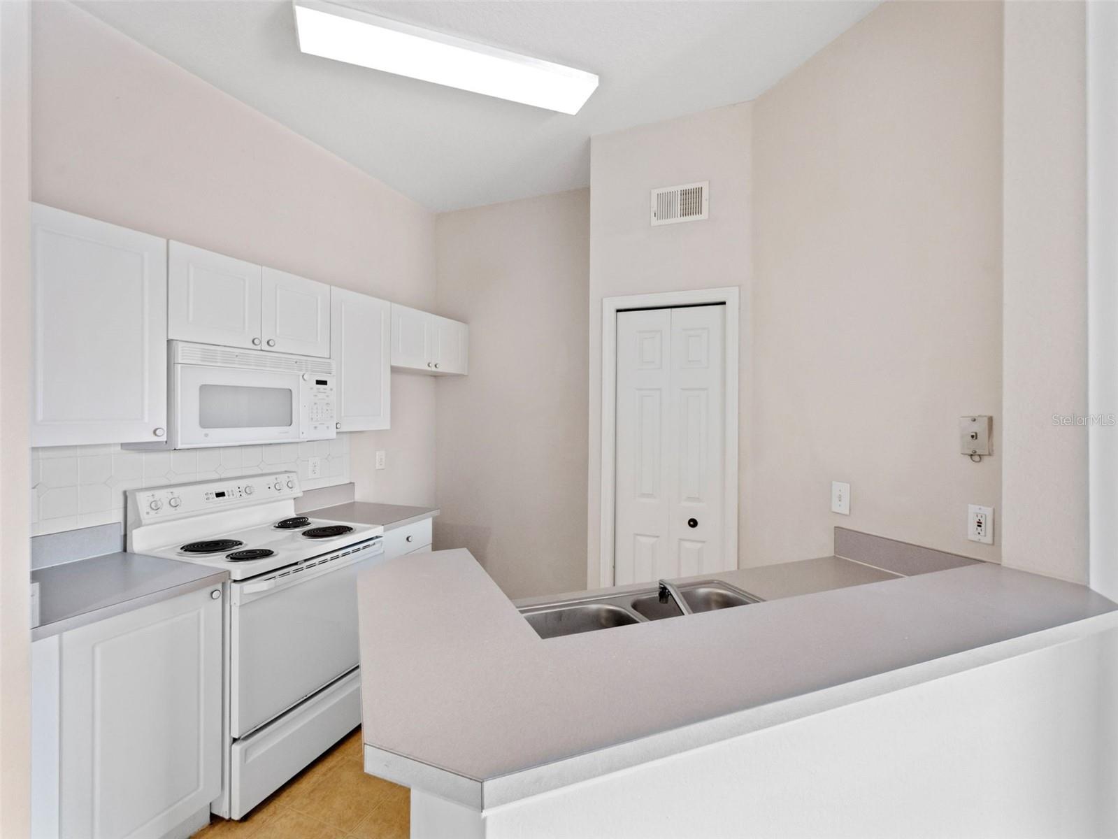 18107 PEREGRINES PERCH PL #6302, LUTZ, FL, 33558