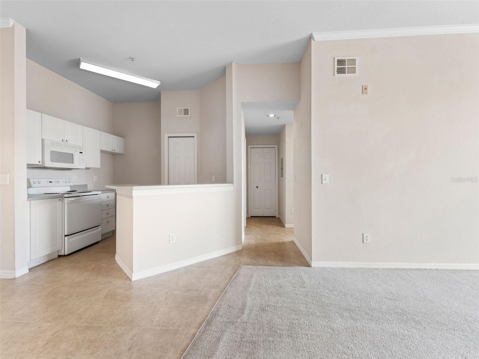 18107 PEREGRINES PERCH PL #6302, LUTZ, FL, 33558