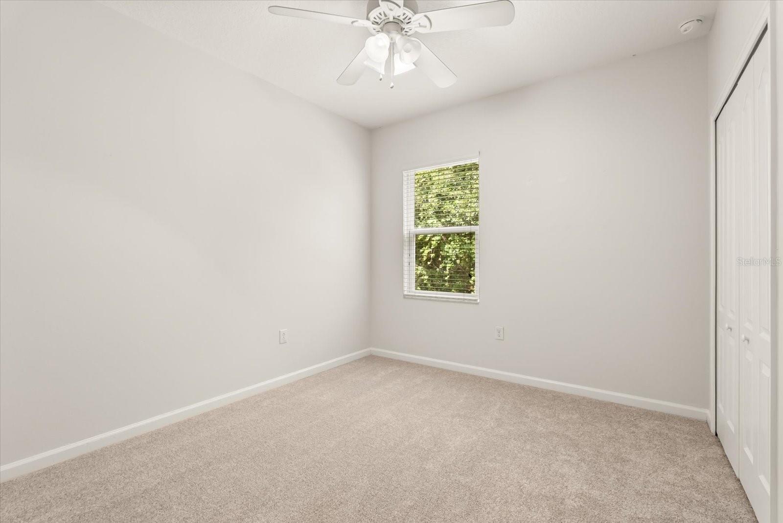 2048 SWITCH GRASS CIR, OCOEE, FL, 34761