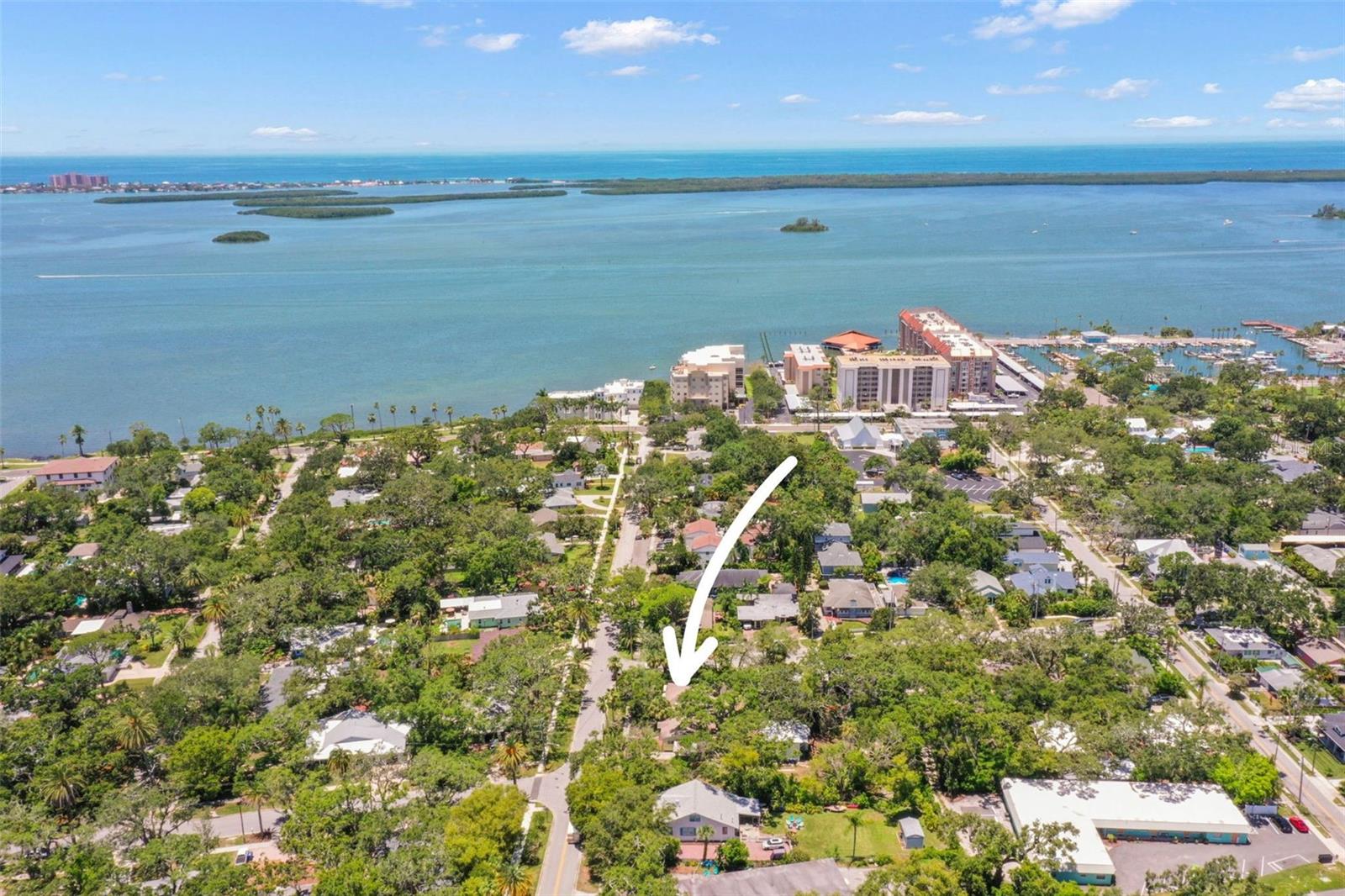 300 PRESIDENT ST, DUNEDIN, FL, 34698