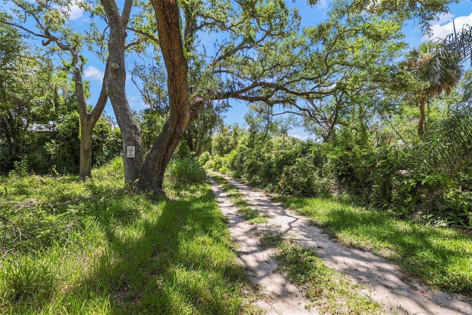 300 PRESIDENT ST, DUNEDIN, FL, 34698